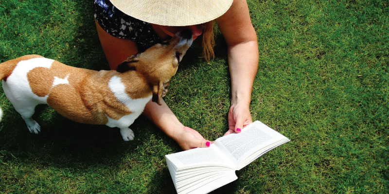 Better Understanding the World of Animals