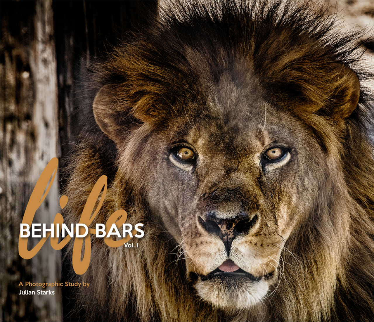 Life Behind Bars Vol. I