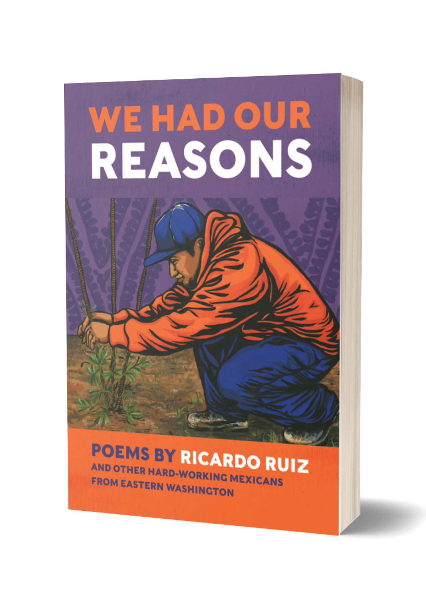 We Had Our Reasons